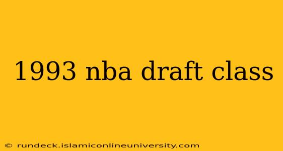 1993 nba draft class