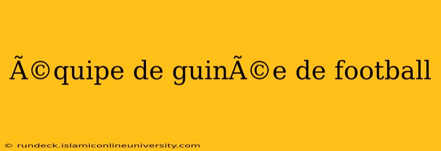 Ã©quipe de guinÃ©e de football