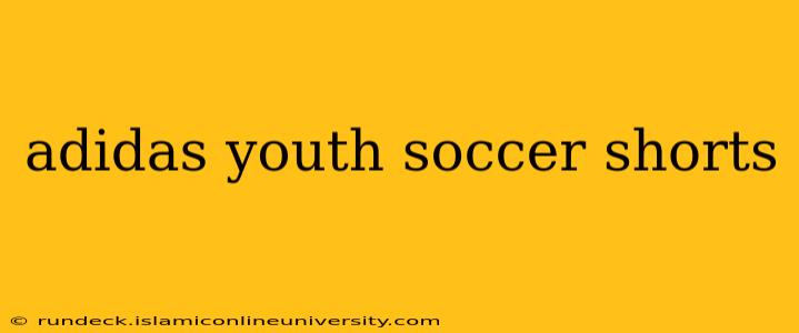 adidas youth soccer shorts