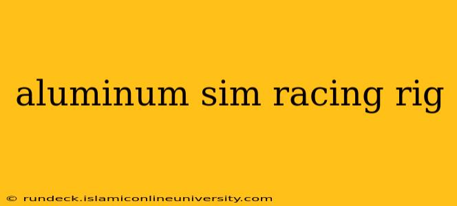 aluminum sim racing rig