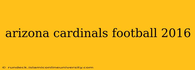 arizona cardinals football 2016