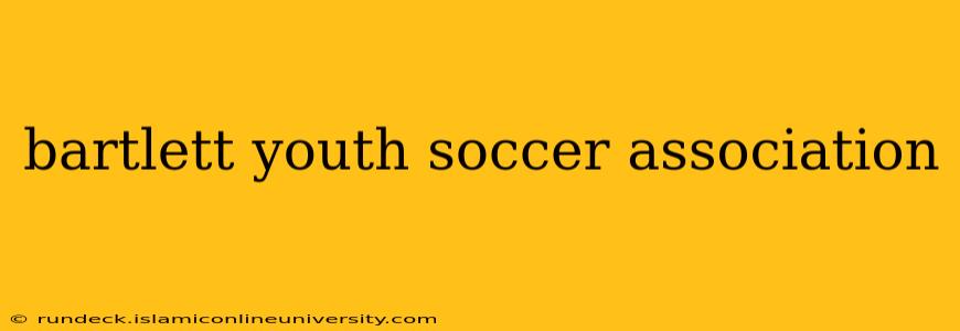 bartlett youth soccer association