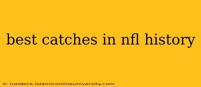 best catches in nfl history