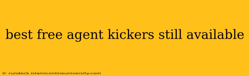 best free agent kickers still available
