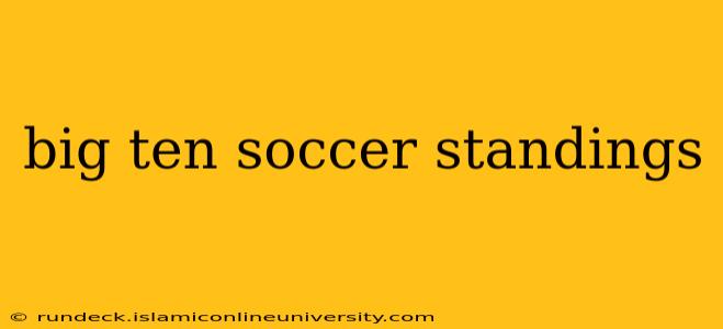 big ten soccer standings