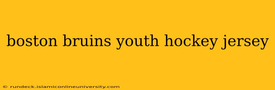 boston bruins youth hockey jersey