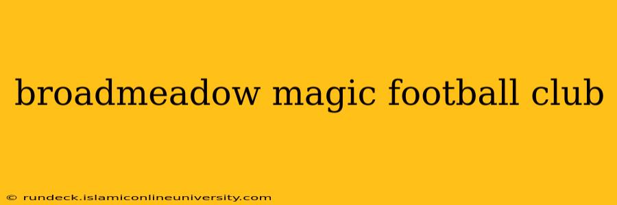 broadmeadow magic football club
