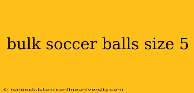 bulk soccer balls size 5