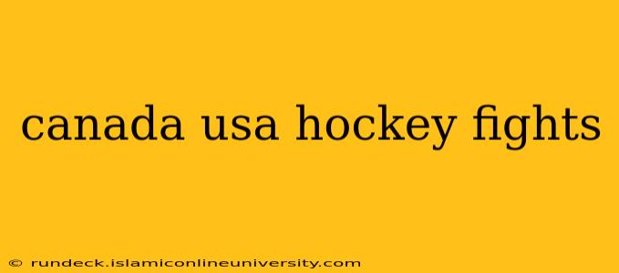 canada usa hockey fights