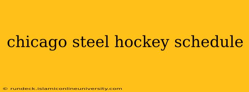chicago steel hockey schedule