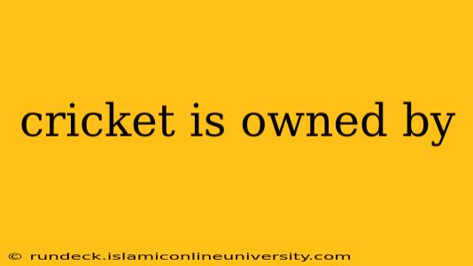 cricket is owned by