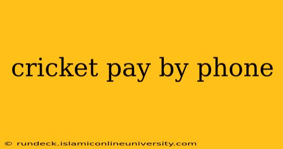 cricket pay by phone