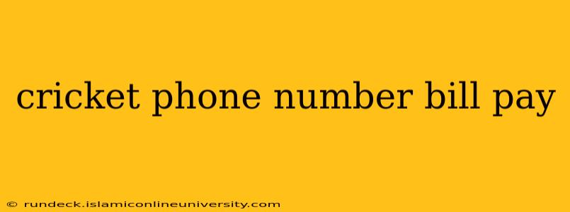 cricket phone number bill pay