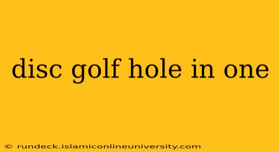 disc golf hole in one