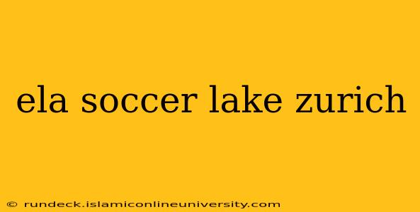 ela soccer lake zurich