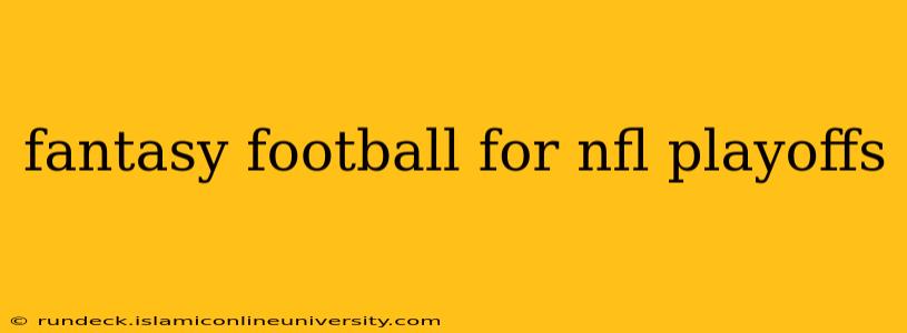fantasy football for nfl playoffs