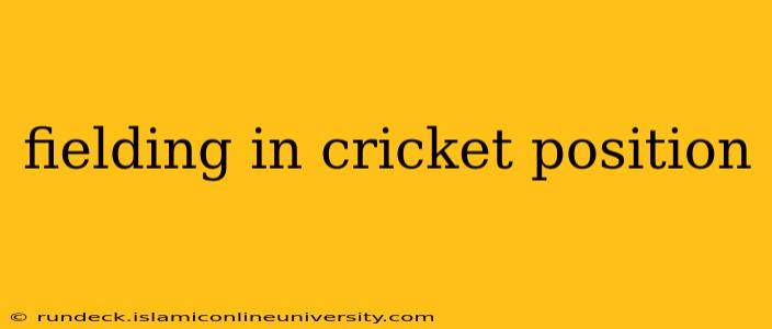 fielding in cricket position