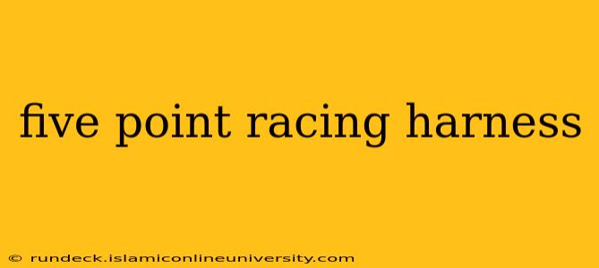 five point racing harness
