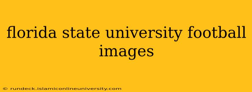 florida state university football images