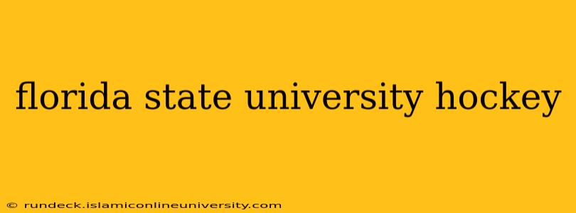 florida state university hockey