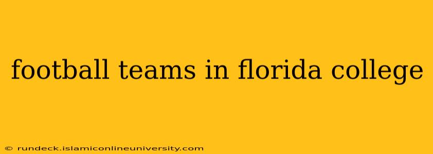 football teams in florida college