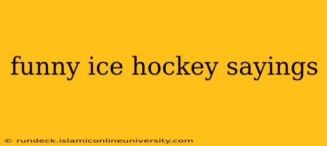 funny ice hockey sayings
