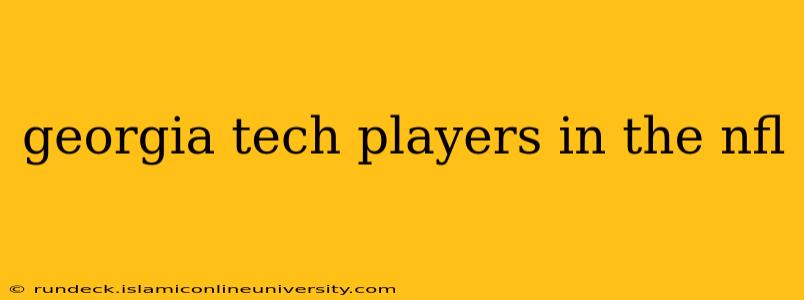georgia tech players in the nfl