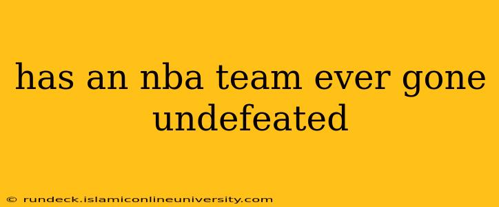has an nba team ever gone undefeated