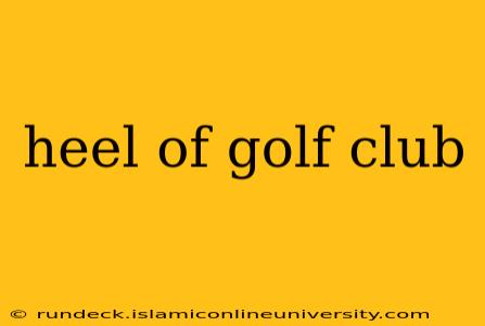 heel of golf club