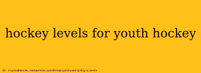 hockey levels for youth hockey