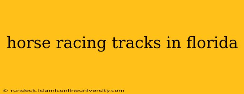 horse racing tracks in florida