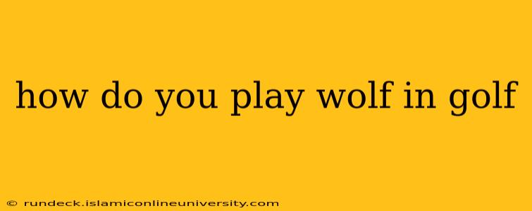 how do you play wolf in golf
