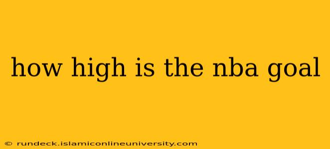 how high is the nba goal