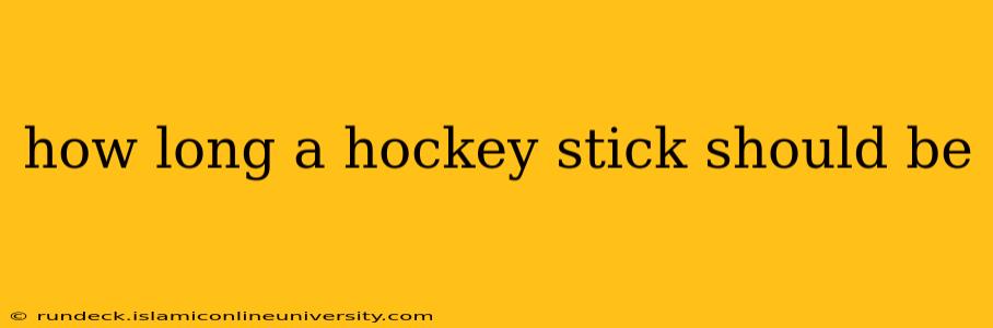 how long a hockey stick should be