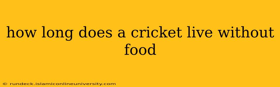 how long does a cricket live without food