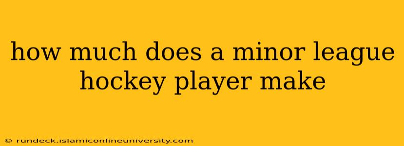 how much does a minor league hockey player make
