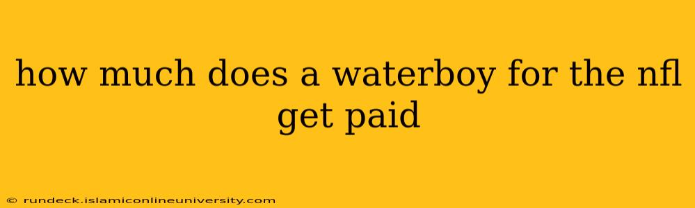 how much does a waterboy for the nfl get paid