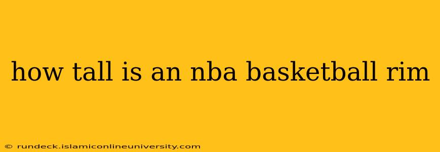 how tall is an nba basketball rim