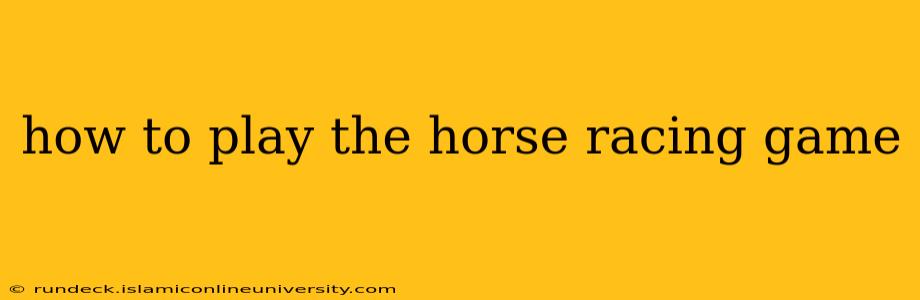 how to play the horse racing game