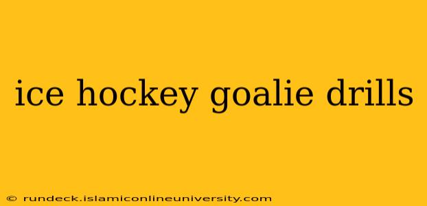 ice hockey goalie drills