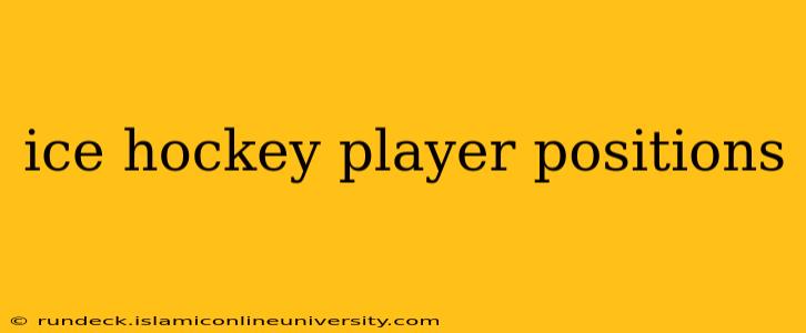 ice hockey player positions