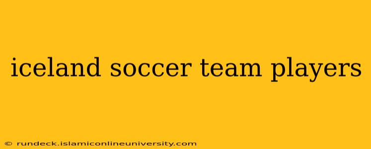 iceland soccer team players