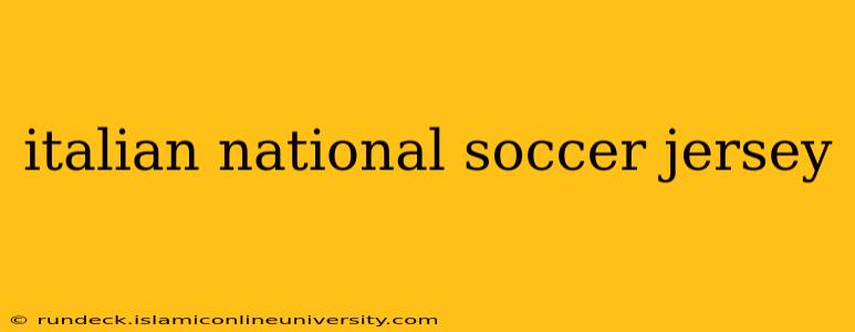 italian national soccer jersey