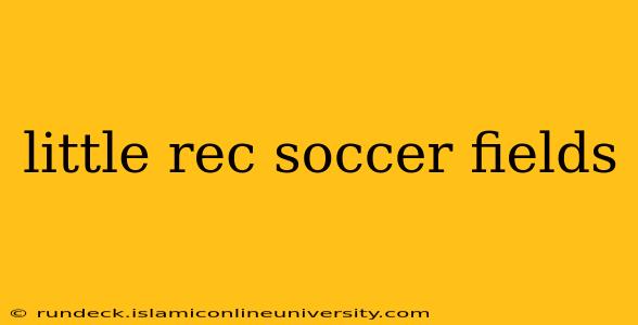 little rec soccer fields