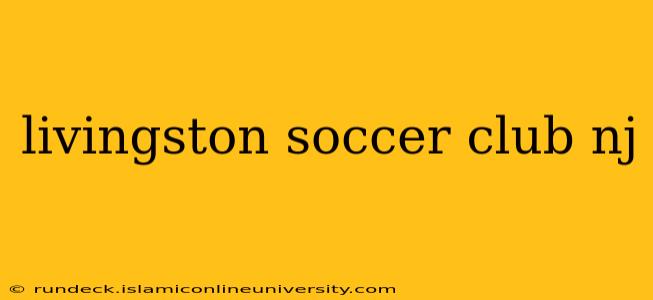 livingston soccer club nj