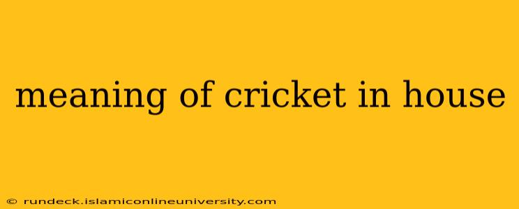 meaning of cricket in house