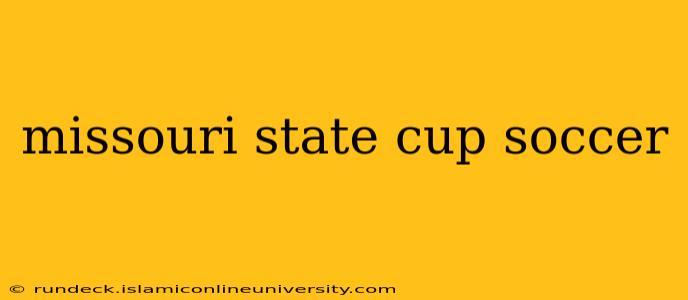 missouri state cup soccer