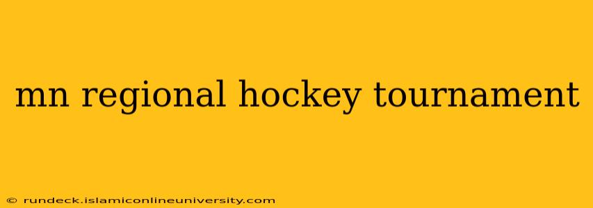 mn regional hockey tournament