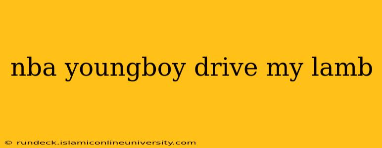 nba youngboy drive my lamb