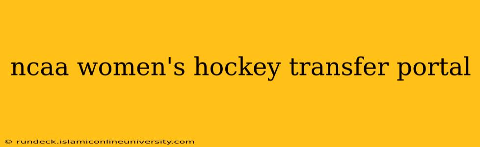 ncaa women's hockey transfer portal
